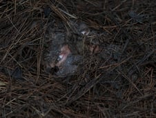 The Terminal List, Season 1 Episode 6 image