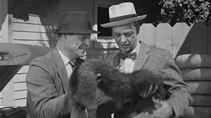 The Andy Griffith Show, Season 5 Episode 29 image