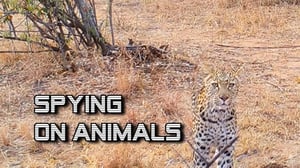 The Nature of Things, Season 58 Episode 7 image