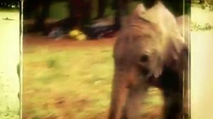 My Wild Affair, Season 1 Episode 2 image