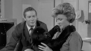 Perry Mason, Season 4 Episode 22 image