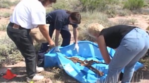 The First 48, Season 1 Episode 9 image