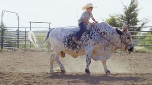 Fearless, Season 1 Episode 2 image