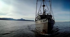 Port Protection, Season 3 Episode 10 image