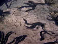 The Blue Planet, Season 1 Episode 2 image