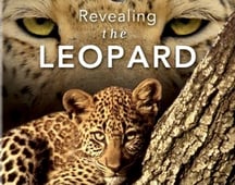 Nature, Season 29 Episode 6 image