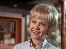 The Fugitive, Season 4 Episode 15 image