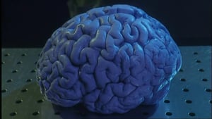 Horizon, Season 38 Episode 8 image