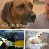 The Supervet, Season 6 Episode 3 image