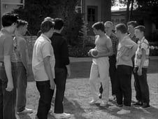 My Three Sons, Season 1 Episode 11 image