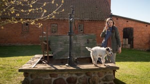 SOKO Wismar, Season 12 Episode 12 image