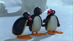 Pingu, Season 6 Episode 15 image