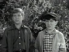 Leave It to Beaver, Season 4 Episode 36 image