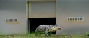 Brassic, Season 6 Episode 2 image