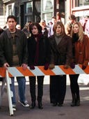 Friends, Season 2 Episode 12 image