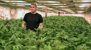 10 Things You Don't Know About, Season 3 Episode 7 image