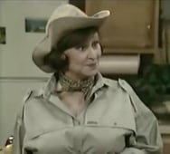 Small Wonder, Season 3 Episode 20 image