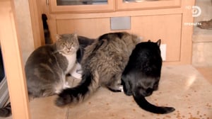 Alaskan Bush People, Season 13 Episode 5 image