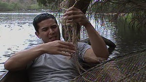 Survivor, Season 2 Episode 9 image