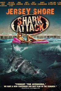Jersey Shore Shark Attack as Conte