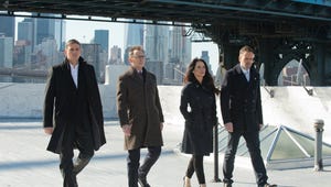 Exclusive: WGN America Plans 100-Episode Binge Event for Person of Interest and Elementary