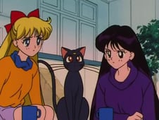 Sailor Moon, Season 3 Episode 31 image