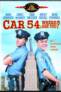Car 54, Where Are You? as Lucille Toody