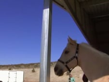 World's Strictest Parents, Season 1 Episode 7 image