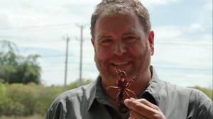 Expedition Unknown, Season 11 Episode 8 image