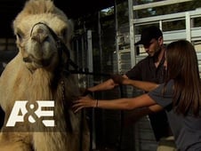 Wild Transport, Season 1 Episode 2 image