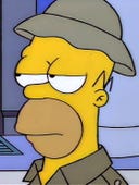 The Simpsons, Season 5 Episode 11 image