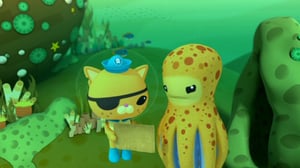 The Octonauts, Season 1 Episode 12 image