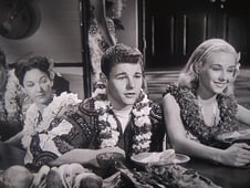 The Adventures of Ozzie and Harriet, Season 5 Episode 27 image