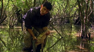 Man, Woman, Wild, Season 1 Episode 3 image