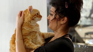 My Cat from Hell, Season 10 Episode 9 image