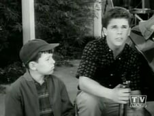 Leave It to Beaver, Season 3 Episode 14 image