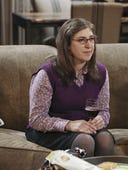 The Big Bang Theory, Season 9 Episode 14 image