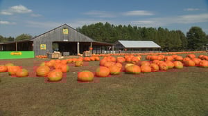 Tennessee Crossroads, Season 33 Episode 7 image