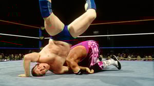 WWE Raw, Season 2 Episode 39 image