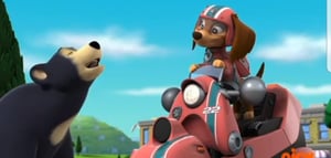 PAW Patrol, Season 9 Episode 1 image