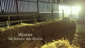 Wild Tales from the Farm, Season 1 Episode 4 image