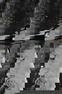 Walter Burke List of Movies and TV Shows - TV Guide