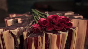 Bachelor in Paradise, Season 2 Episode 11 image