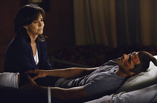 Brothers & Sisters - "An American Family" - Sally Field as Nora, Dave Annable as Justin