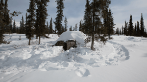 Life Below Zero, Season 3 Episode 10 image
