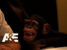 Wild Transport, Season 1 Episode 3 image