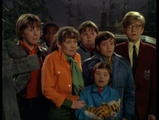 Here Come the Double Deckers!, Season 1 Episode 4 image