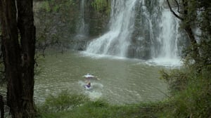 The Brokenwood Mysteries, Season 10 Episode 3 image