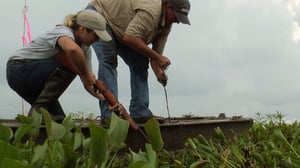 Swamp People, Season 4 Episode 24 image