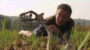 Ten Deadliest Snakes with Nigel Marven, Season 2 Episode 3 image